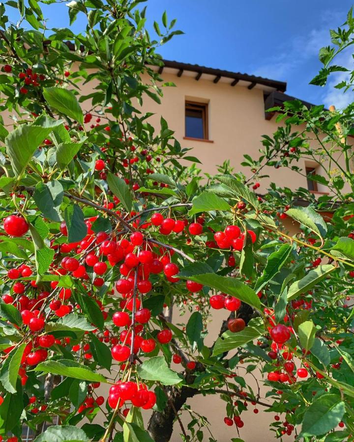מלון Casa Due Marie Marano Sul Panaro מראה חיצוני תמונה
