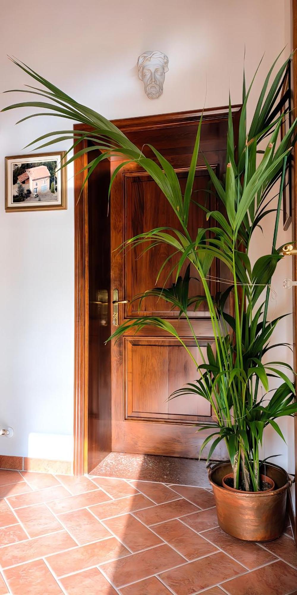 מלון Casa Due Marie Marano Sul Panaro מראה חיצוני תמונה